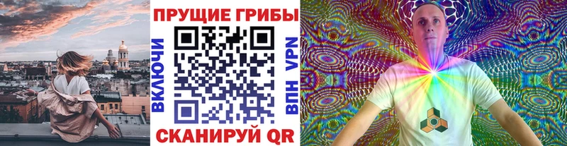 купить наркотики сайты  Мантурово  Псилоцибиновые грибы Psilocybine cubensis 